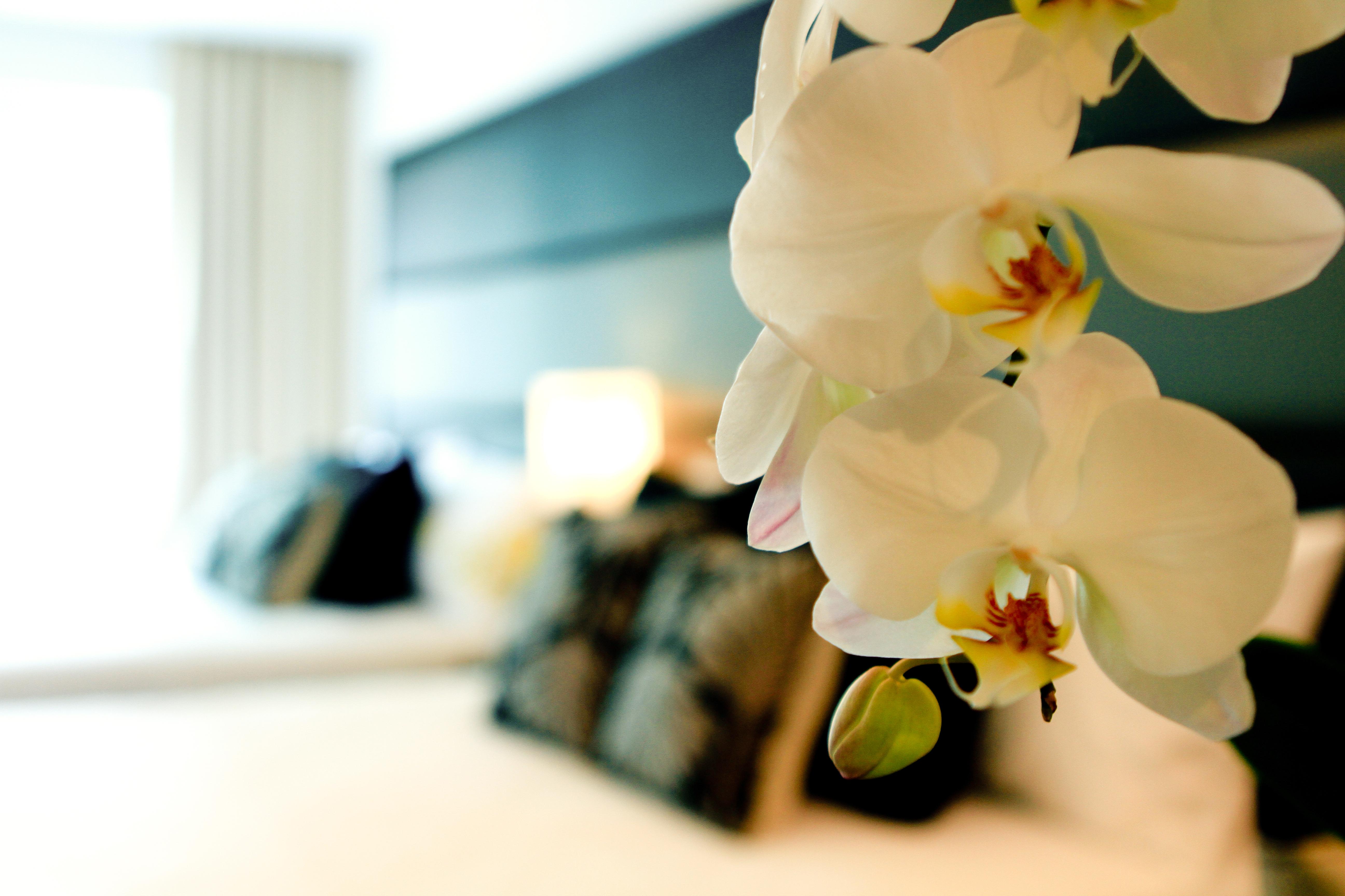Privato Ortigas 3* Pasig City